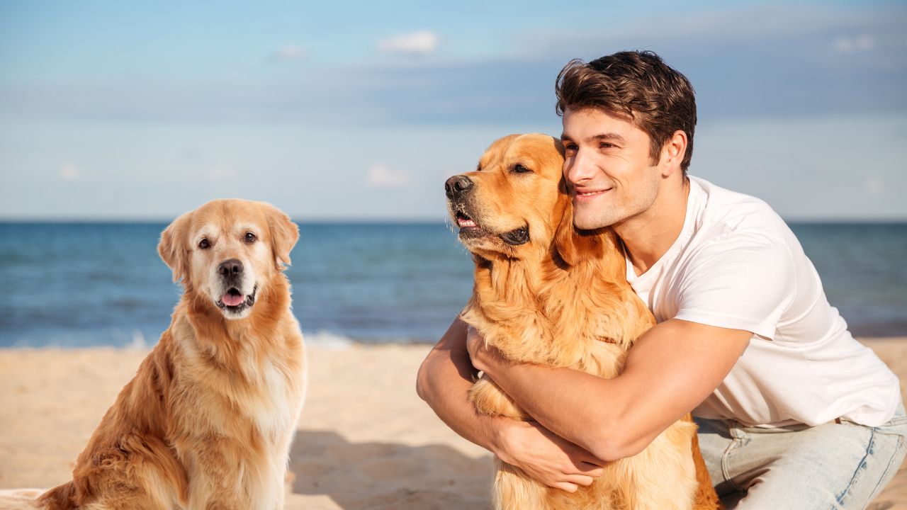 Essential Tips for Experienced and New Dog Owners